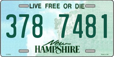 NH license plate 3787481