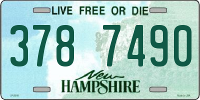 NH license plate 3787490