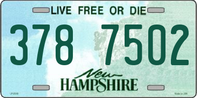 NH license plate 3787502