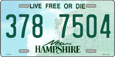 NH license plate 3787504