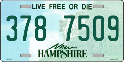 NH license plate 3787509