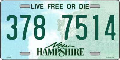 NH license plate 3787514