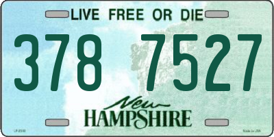 NH license plate 3787527