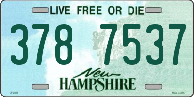 NH license plate 3787537