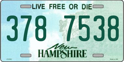 NH license plate 3787538