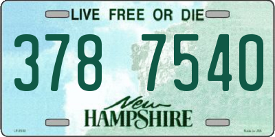 NH license plate 3787540
