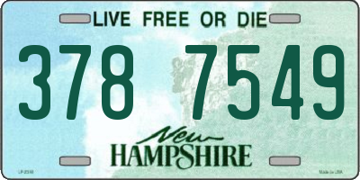 NH license plate 3787549