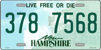 NH license plate 3787568