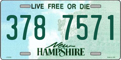 NH license plate 3787571