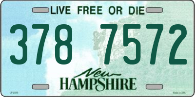 NH license plate 3787572