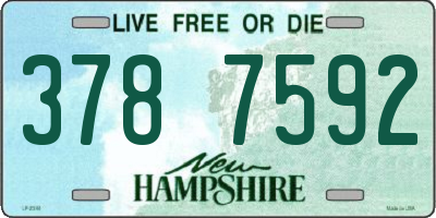 NH license plate 3787592