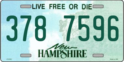 NH license plate 3787596