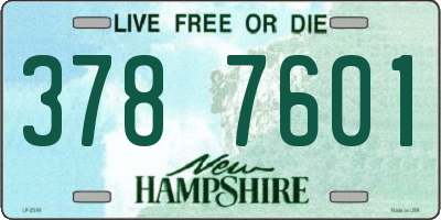 NH license plate 3787601
