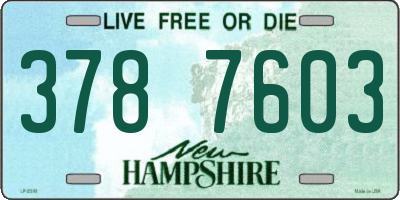 NH license plate 3787603
