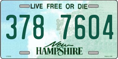NH license plate 3787604