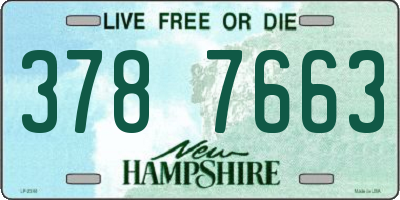 NH license plate 3787663