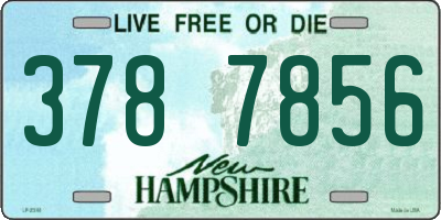 NH license plate 3787856