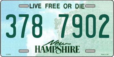NH license plate 3787902