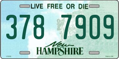 NH license plate 3787909