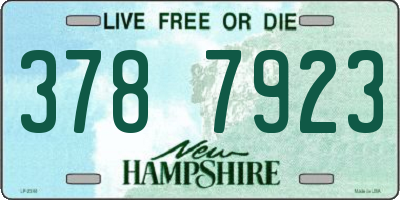 NH license plate 3787923