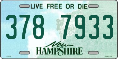 NH license plate 3787933