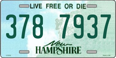 NH license plate 3787937