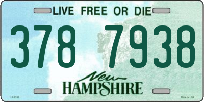 NH license plate 3787938