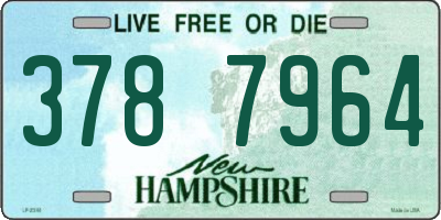 NH license plate 3787964