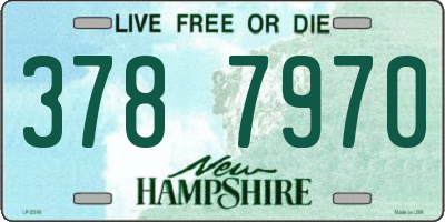 NH license plate 3787970
