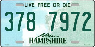 NH license plate 3787972