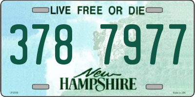 NH license plate 3787977