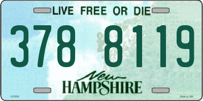 NH license plate 3788119