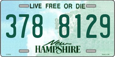 NH license plate 3788129