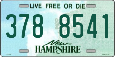 NH license plate 3788541