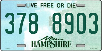 NH license plate 3788903