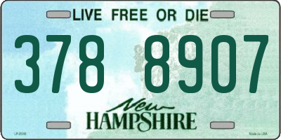 NH license plate 3788907