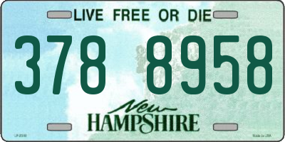 NH license plate 3788958