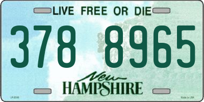 NH license plate 3788965