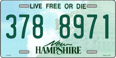 NH license plate 3788971