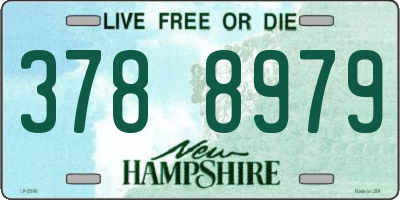 NH license plate 3788979