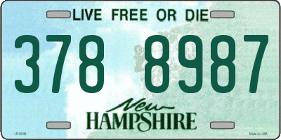 NH license plate 3788987