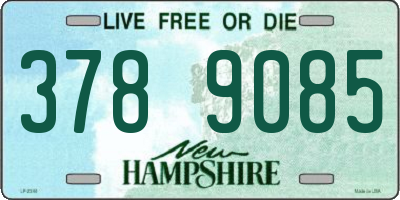 NH license plate 3789085