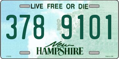 NH license plate 3789101