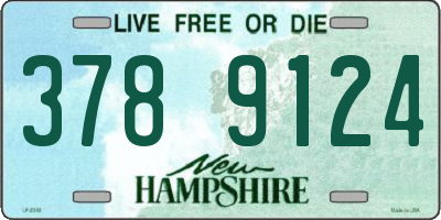 NH license plate 3789124