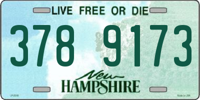 NH license plate 3789173