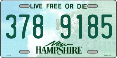 NH license plate 3789185