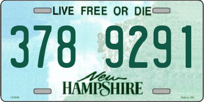 NH license plate 3789291
