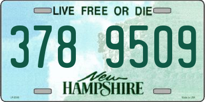 NH license plate 3789509