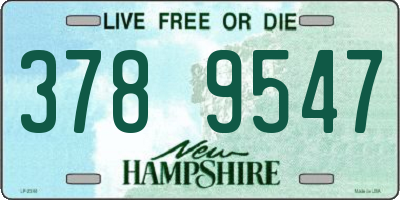 NH license plate 3789547