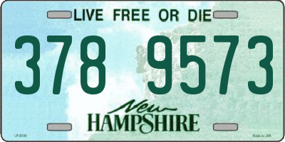 NH license plate 3789573